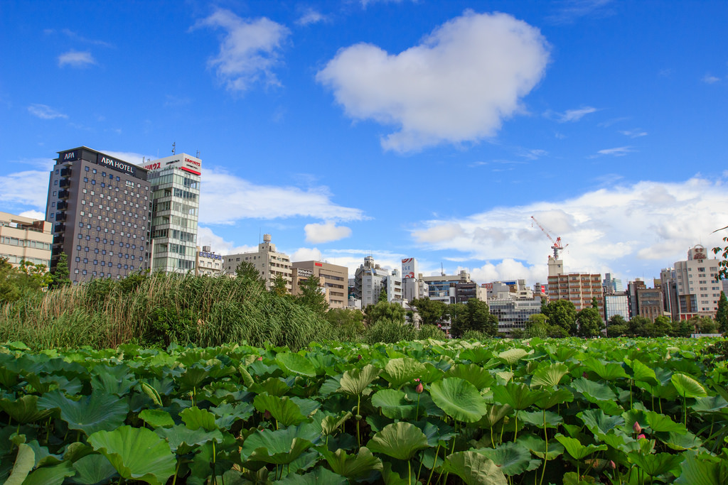 Promenade dans Ueno (itinéraire)