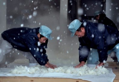 The Birth of Saké : Le documentaire à voir sur le saké