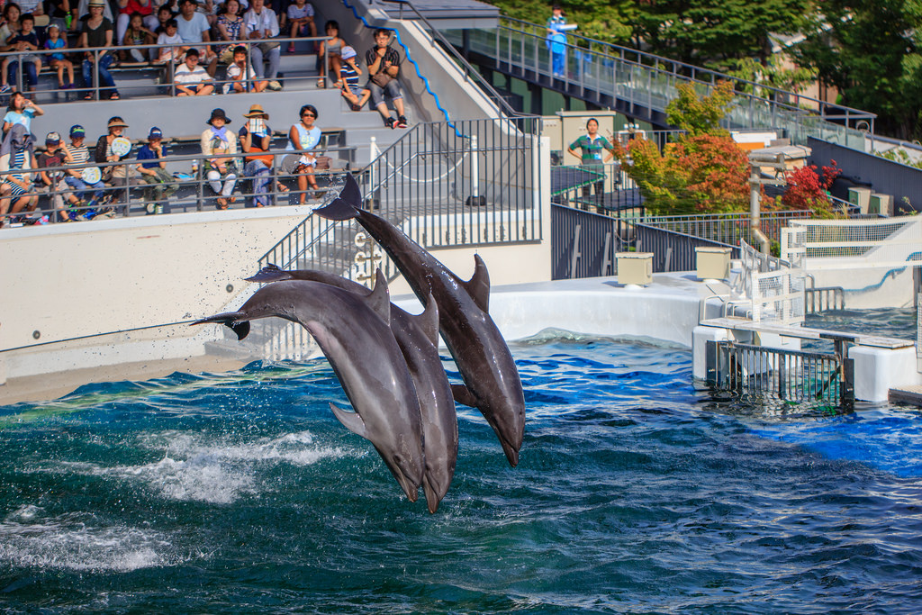 Kyoto Aquarium TekuTeku Japan