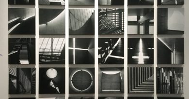 L’exposition Tadao Ando : le défi L’exposition Tadao Ando : le défi