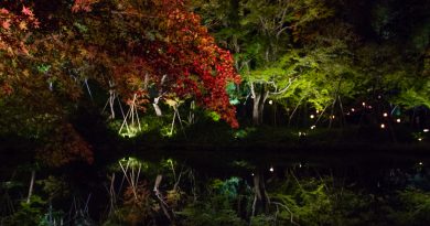 Kōdai-ji : le magnifique temple aux illuminations nocturnes Kōdai-ji : le magnifique temple aux illuminations nocturnes