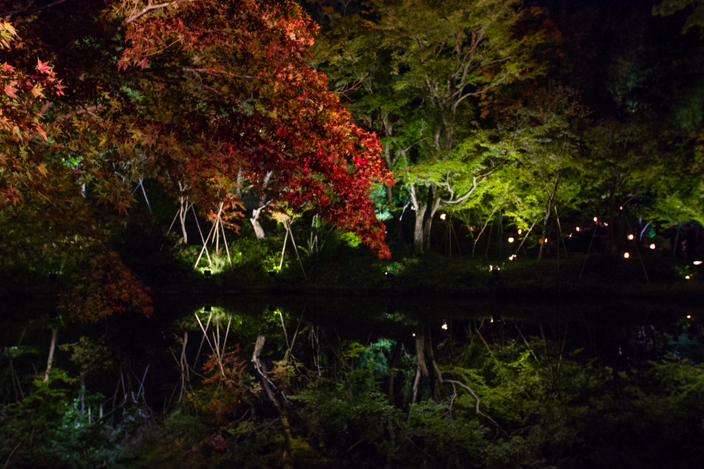 Kōdai-ji : le magnifique temple aux illuminations nocturnes