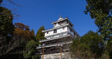 Le château d’Iwakuni Le château d’Iwakuni