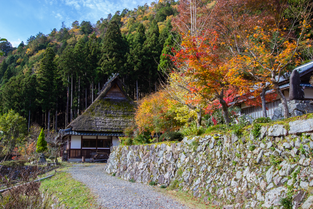 Miyama, la belle montagne