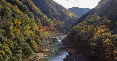 De Takao à Hozukyo, une promenade dans les montagnes de Kyoto De Takao à Hozukyo, une promenade dans les montagnes de Kyoto