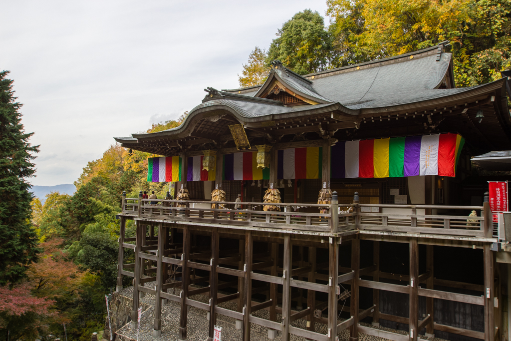 Tanukidani-san Fudō-in, le temple aux tanukis