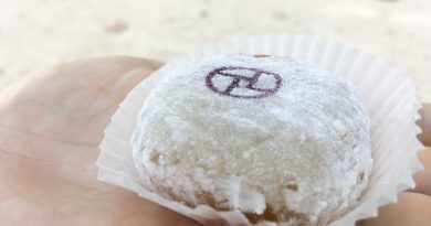 La Maison du Mochi, véritable mochis à Paris La Maison du Mochi, véritable mochis à Paris
