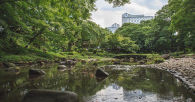 Koishikawa Kōrakuen, le plus ancien jardin de Tokyo Koishikawa Kōrakuen, le plus ancien jardin de Tokyo