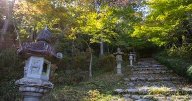 Du Lac Biwa au sommet du mont Hiei (itinéraire) Du Lac Biwa au sommet du mont Hiei (itinéraire)