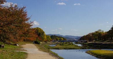 Du sanctuaire Kamigamo au Shimogamo, le long de la rivière Kamogawa à Kyoto (itinéraire) Du sanctuaire Kamigamo au Shimogamo, le long de la rivière Kamogawa à Kyoto (itinéraire)
