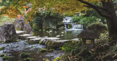 Suzaku-no-Niwa, le jardin japonais du parc Umekoji Suzaku-no-Niwa, le jardin japonais du parc Umekoji