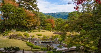 Murin-an, l’incroyable jardin aux mousses Murin-an, l’incroyable jardin aux mousses
