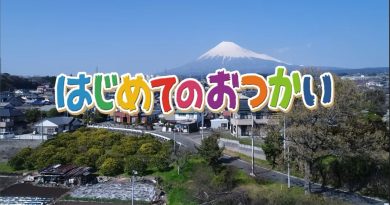 Comme les grands, l’irrésistible émission japonaise Comme les grands, l’irrésistible émission japonaise