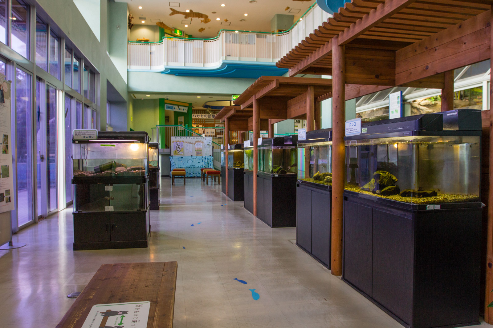 Aquapia Akutagawa, le musée de la nature de Takatsuki