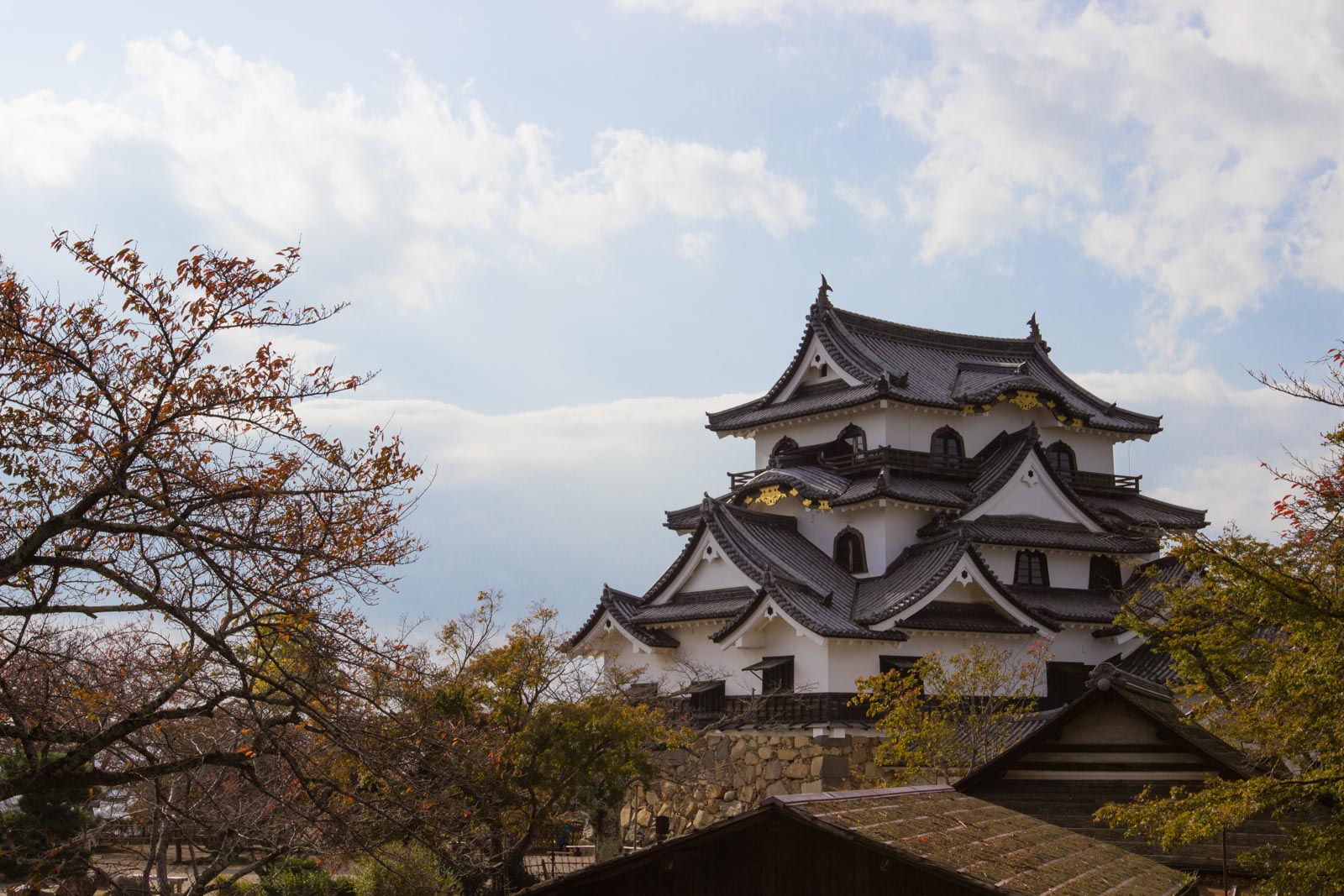 Château de Hikone : Un Trésor Historique au Cœur du Japon