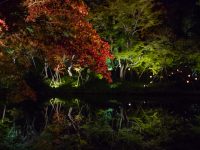 Kodai-ji