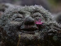 Otagi Nenbutsi-ji