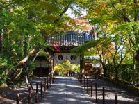 Kōmyō-ji