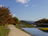 Kamigamo - Shimogamo