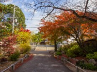 Hyakumanben Chion-ji